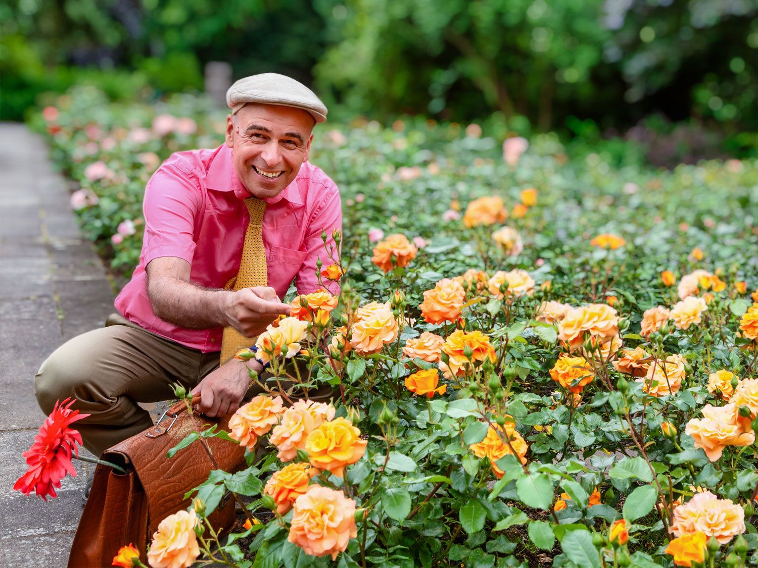 Ein Blumenbeet mit blühenden Blumen in orange/gelb. Links daneben kniet ein Mann in einem pinken Hemd mit gelber Krawatte, einer graubraunen Hose und einer Schiebermütze auf dem Kopf.