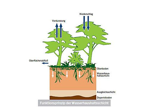 Funktionsprinzip der Wasserhaushaltsschicht
