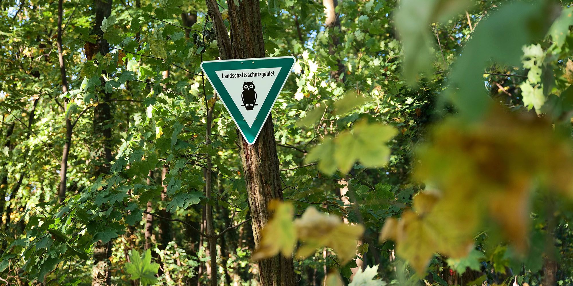 Landschaftsschutzgebiet