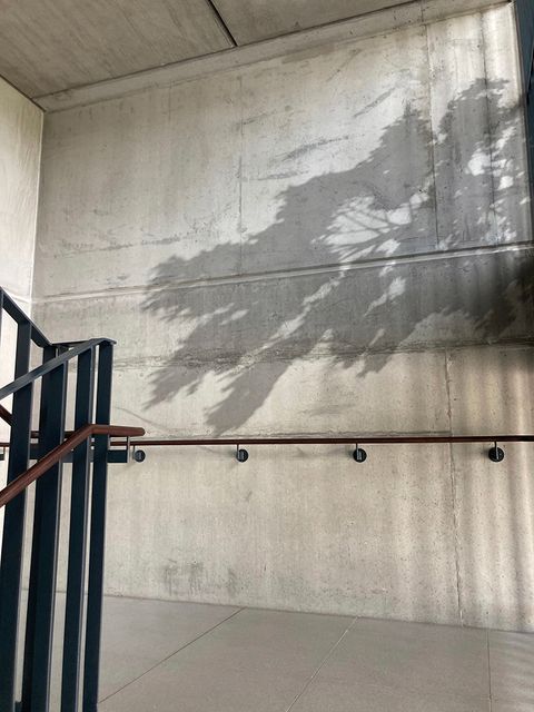 Entwurf „Goldbaum und Schattenlaub“ von Oliver van den Berg, 1. Rang und Realisierungsempfehlung, Kunstwettbewerb Grundschule unter den Bäumen, Alt-Blankenburg, Auslober: Bezirksamt Pankow von Berlin, 2024 (Bild: Oliver van den Berg)