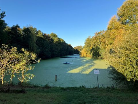 Blick auf den Fennsee mit vielen Wasserlinsen