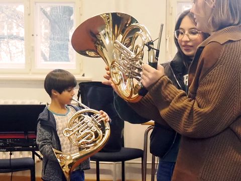 Das Horn wird gezeigt und beschrieben