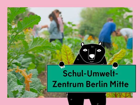 Vorschaubild für das Video Gartenarbeitsschulen: das Schul-Umwelt-Zentrum in Mitte. Abgebildet sind gärtnernde Kinder in einem Beet