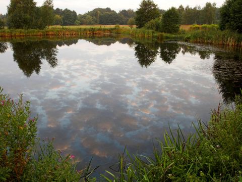 Mittelbruch, Alter Torfstich (Bild: Bruno D'Amicis)