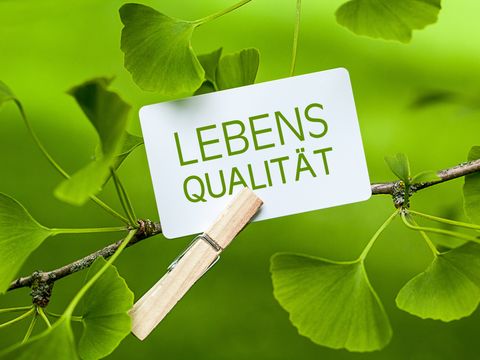 Klee mit Spruch Lebensqualität