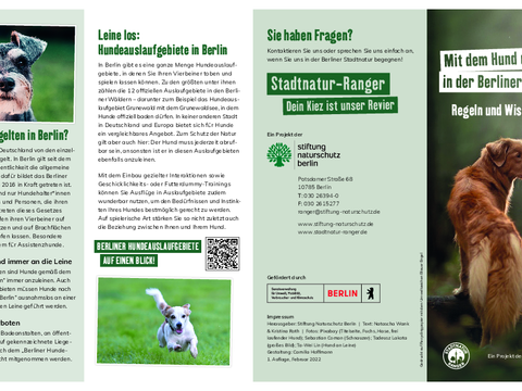 Hunde Stadtnatur