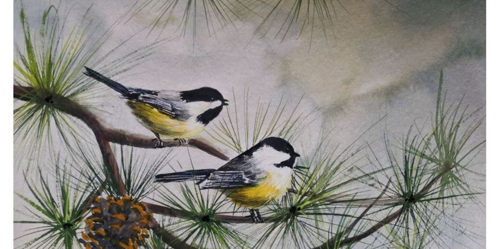 Bild "Paargezwitscher"