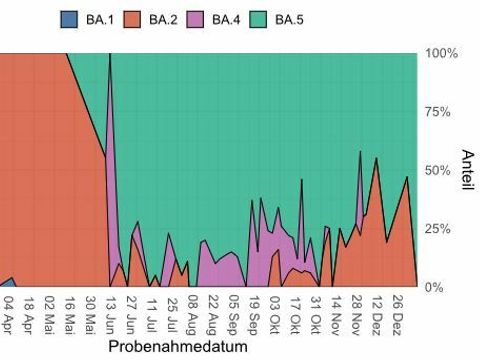 Abwassermonitoring