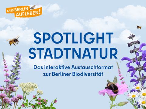 Zentral steht der blaue Schriftzug ‚Spotlight Stadtnatur‘ mit dem Untertitel ‚Das interaktive Austauschformat zur Berliner Biodiversität‘ vor einem hellblauen Himmel mit weißen Wolken. Im Vordergrund sind verschiedene blühende Wildpflanzen und Gräser zu sehen, auf denen drei Insekten sitzen: eine Hummel, eine Biene und ein Schmetterling. Links oben befindet sich ein orangefarbenes Banner mit dem Text ‚Lass Berlin aufleben!‘.