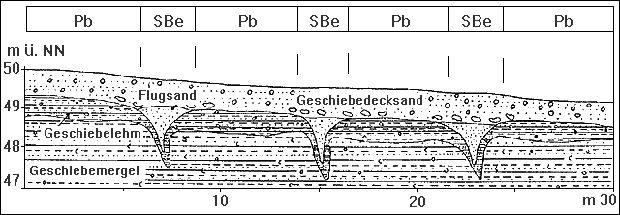 Bodengesellschaft der Grundmoränenhochfläche