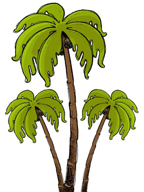 Palmen