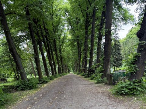 Alleenwanderung teaser