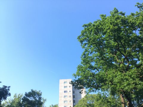 Motiv Sommerkurse