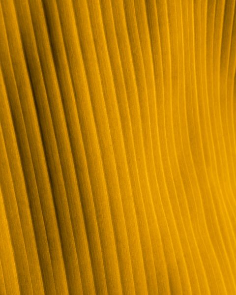 TN_texture
