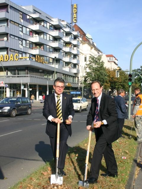 Narzissenpflanzung