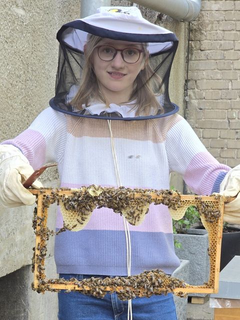 Laura präsentiert eine Wabe