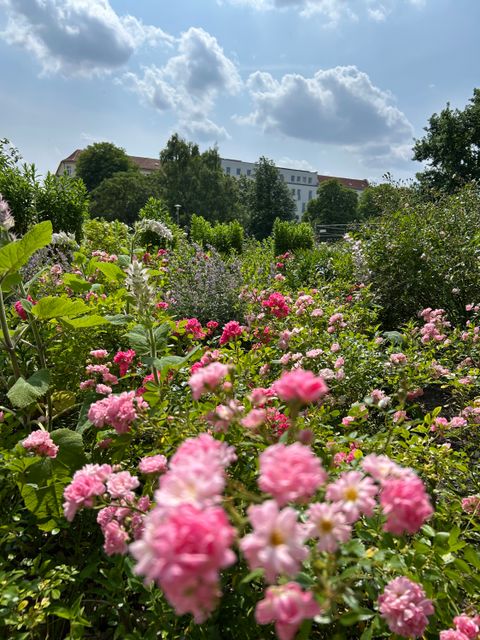 Blumenbeet im Park
