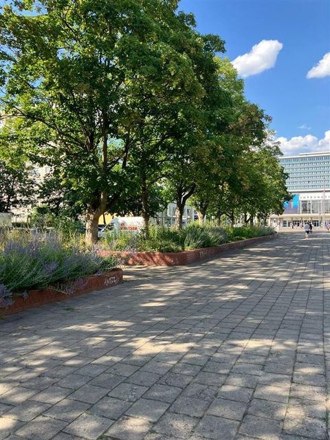 Die Schillingpromenade im Sommer: breiter gepflasterter Weg unter Bäumen, im Hintergrund das Haus des Lehrers