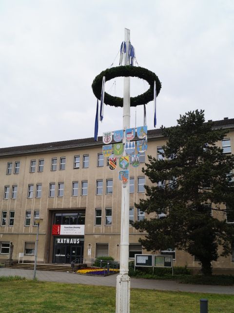 Der Maibaum auf der Rathauswiese Foto 2: Der Maibaum ist acht Meter hoch und mit den elf Wappen der Ortsteile Reinickendorfs geschmückt (Bild: Bezirksamt Reinickendorf)