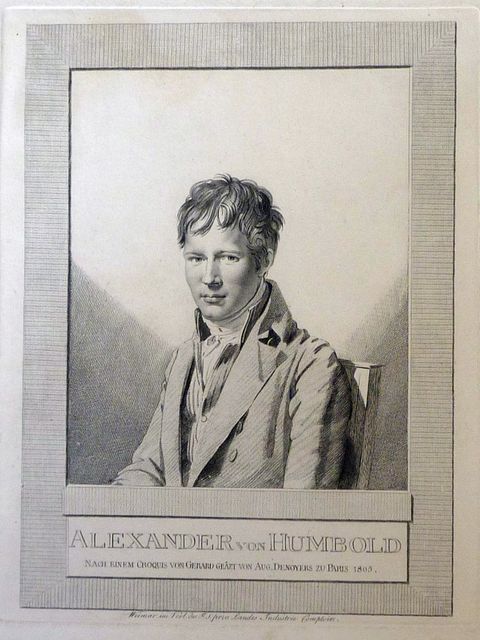 Alexander von Humboldt, Radierung von Auguste Desnoyers nach einer Zeichnung von François Gerard, 1805. (Bild: BA Reinickendorf)