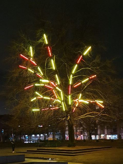 Es leuchtet wieder auf dem Franz-Neumann-Platz. (Bild: BA Reinickendorf)