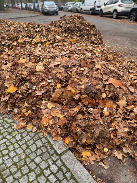 Straßenreinigung (Bild: BA Reinickendorf)