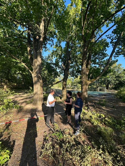 Schadensbegutachtung vor Ort mit Bürgermeisterin Demirbüken-Wegner (Bildmitte), Stadträtin Schrod-Thiel und Amtsleiter Braun. (Bild: BA Rdf)