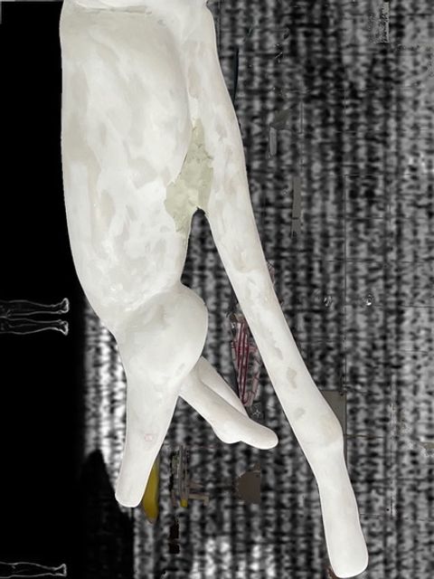 Veronika Witte - Liquid Identities