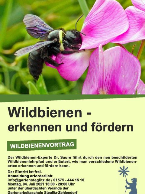 Plakat zum Vortrag "Wildbienen - erkennen und fördern" am 04.07.2022 in der Gartenarbeitsschule Steglitz-Zehlendorf (Bild: Gartenarbeitsschule Steglitz-Zehlendorf)