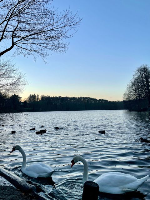 (Bild: Bezirksamt Steglitz-Zehlendorf)