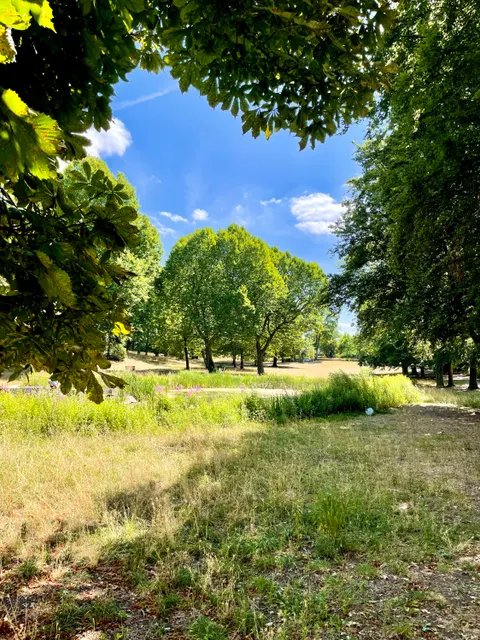 (Bild: Bezirksamt Steglitz-Zehlendorf)