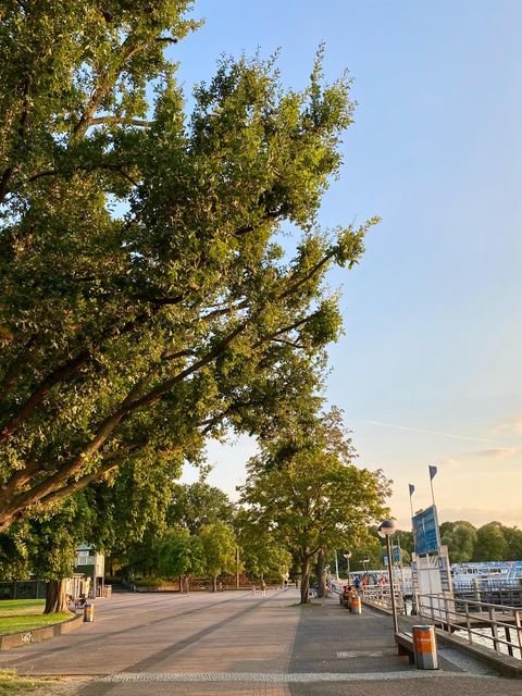 (Bild: Bezirksamt Steglitz-Zehlendorf)