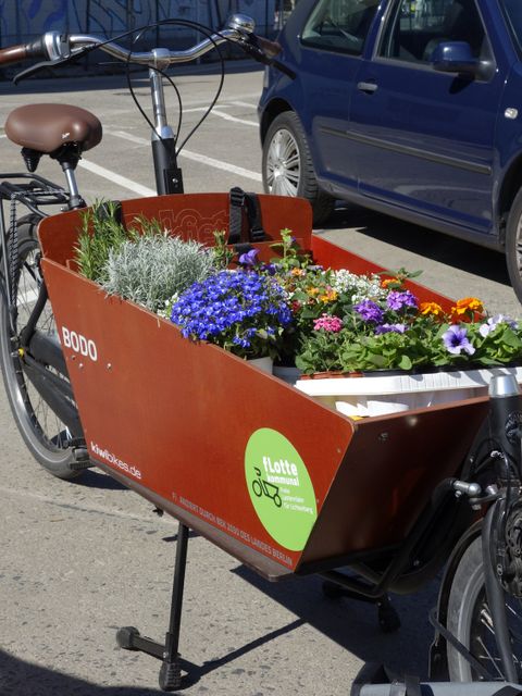 Lastenrad von fLotte