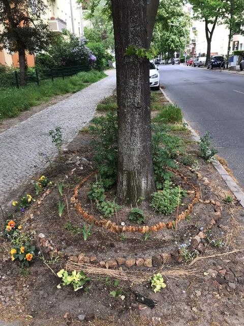Kleine Pflanzen unter einem Baum.