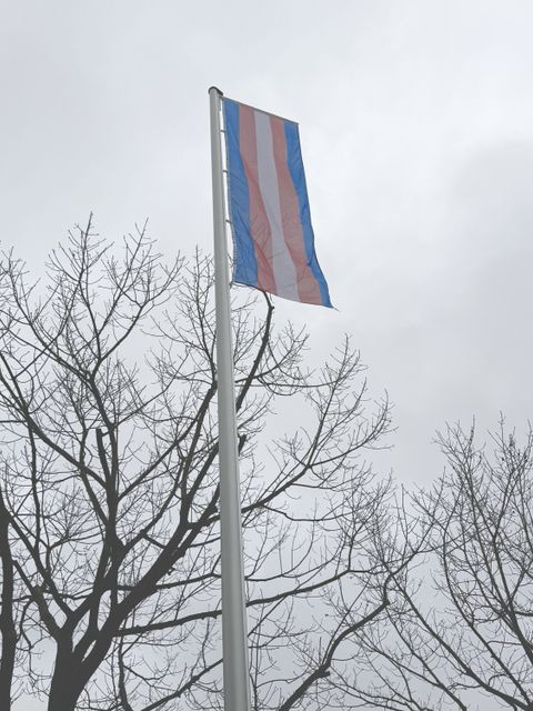 Trans*-Flagge