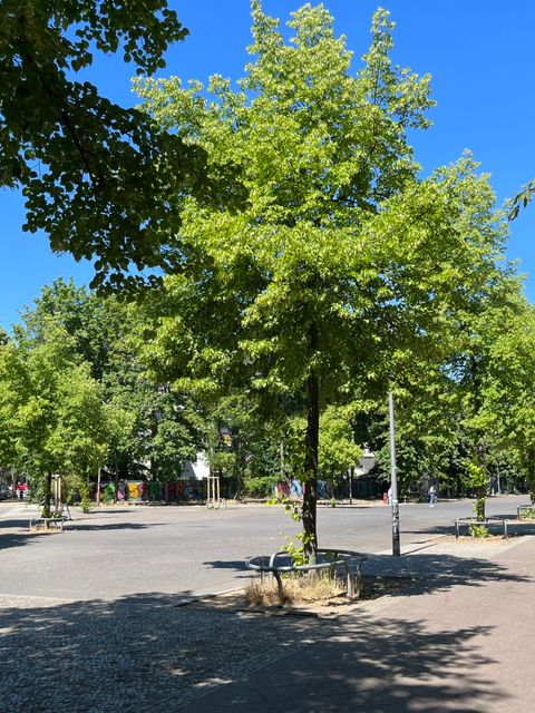 Wochenmarkt in der Crellestraße