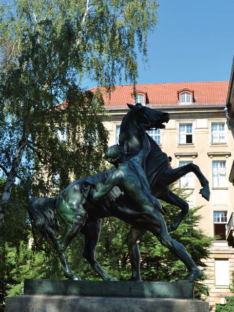 Rossbändiger