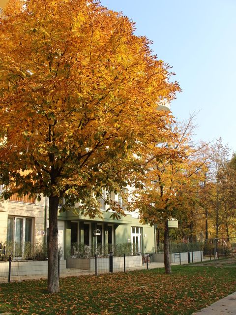 Alice-Salomon-Park