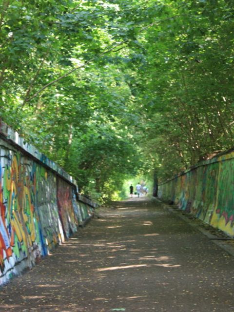 Ansicht des Natur-Parks Schöneberger Südgelände