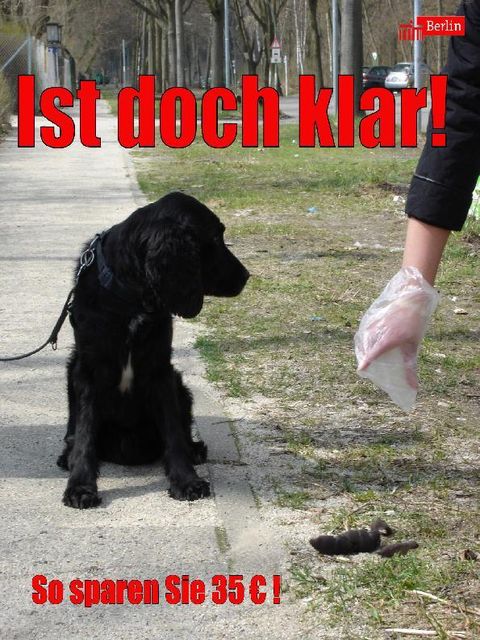 (Bild: Ordnungsämter Berlin)