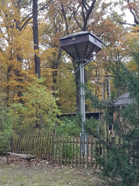 Fledermaushaus im Plänterwald (Bild: BA Treptow-Köpenick)