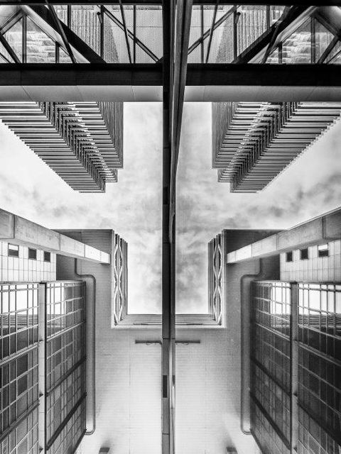 Blick nach oben (Bild: Andrea Goldmann)