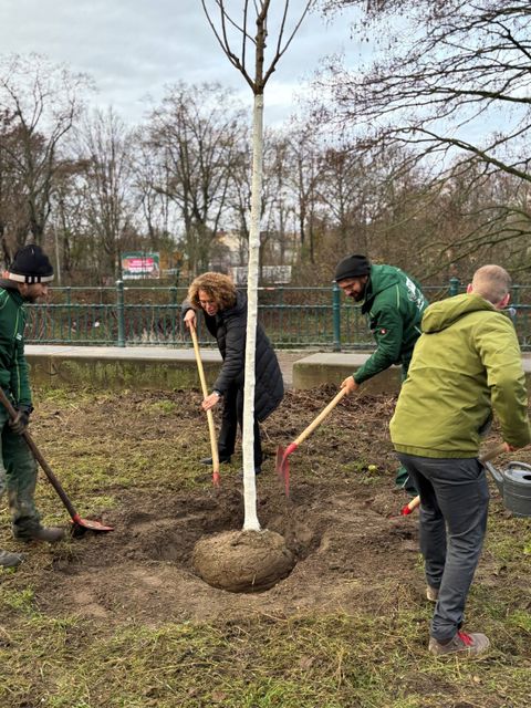 Bezirksstadträtin Dr. Claudia Leistner pflanz Baum mit weiteren Personen