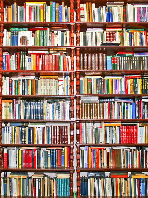 Großes Bücherregal, welches die ganze Wand bedeckt