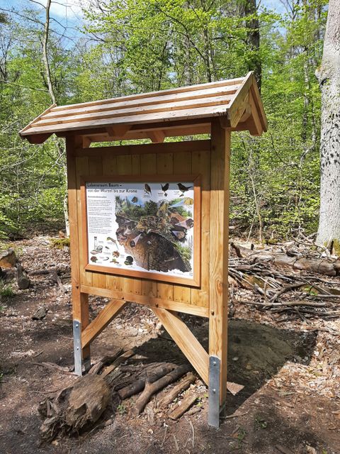 Waldlehrpfad Hermsdorf: Schautafel (Bild: Berliner Forsten)
