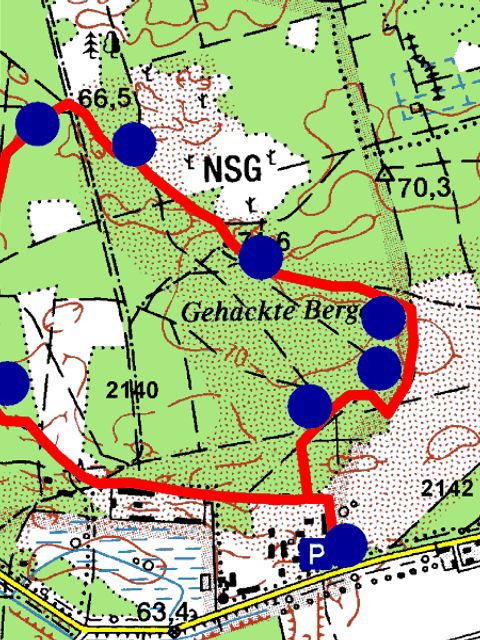 Wanderkarte (Bild: Berliner Forsten)
