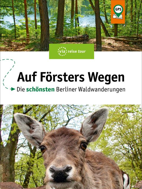 Auf Försters Wegen - Die schönsten Berliner Waldwanderungen