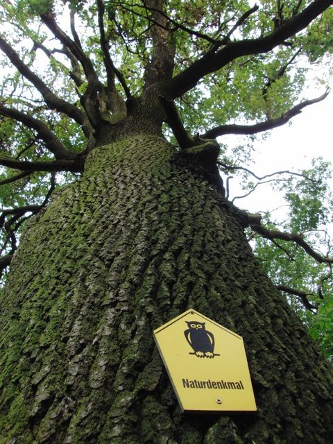Naturdenkmal