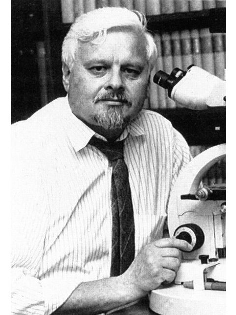 Prof. Dr. Dr. h.c.Volkmar Schneider