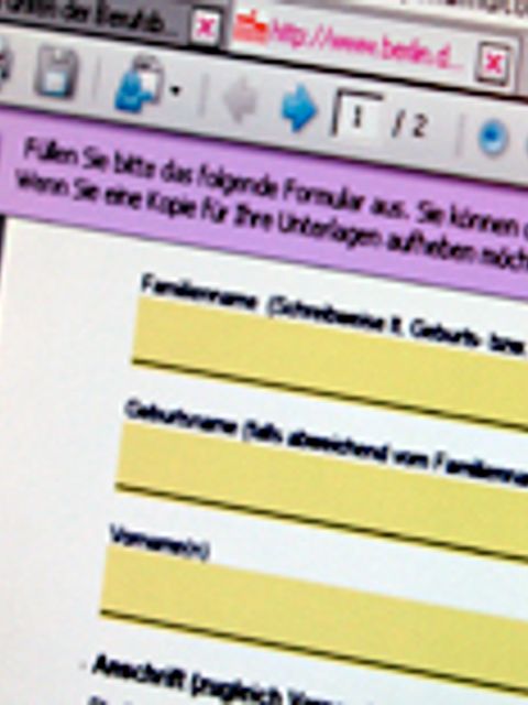 Formularausschnitt